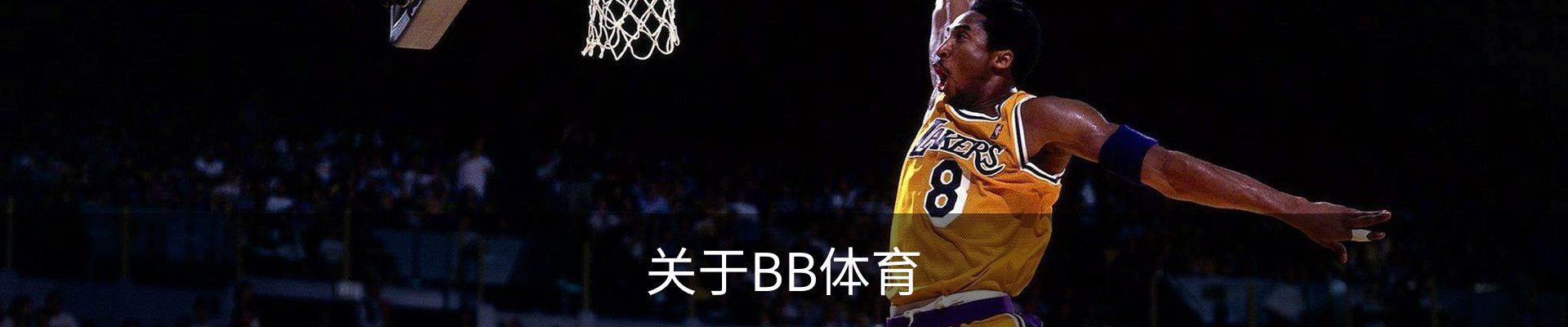 关于BB体育